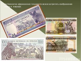 На банкнотах африканских государств можно встретить изображение зебры и жирафа
