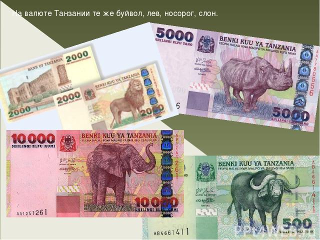 На валюте Танзании те же буйвол, лев, носорог, слон.