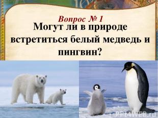 Вопрос № 1 Могут ли в природе встретиться белый медведь и пингвин?