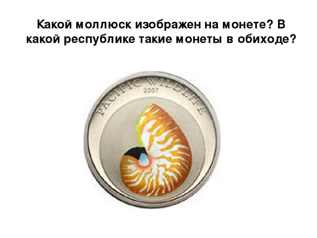 Какой моллюск изображен на монете? В какой республике такие монеты в обиходе?