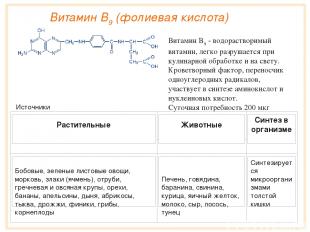 Витамин B9 (фолиевая кислота) Витамин B9 - водорастворимый витамин, легко разруш