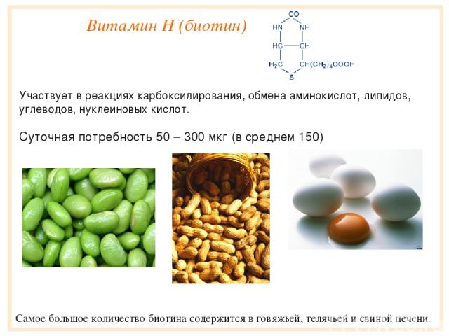 Витамин Н (биотин) Участвует в реакциях карбоксилирования, обмена аминокислот, липидов, углеводов, нуклеиновых кислот.   Суточная потребность 50 – 300 мкг (в среднем 150)   Самое большое количество биотина содержится в говяжьей, телячьей и свиной печени.