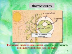 Органические веществ * Фотосинтез- процесс образования органических веществ из в
