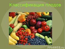 Классификация и распространение плодов-
