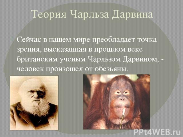 Теория Чарльза Дарвина Сейчас в нашем мире преобладает точка зрения, высказанная в прошлом веке британским ученым Чарльзом Дарвином, - человек произошел от обезьяны.