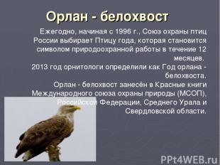 Орлан - белохвост Ежегодно, начиная с 1996 г., Союз охраны птиц России выбирает