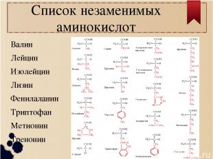 Список незаменимых аминокислот Валин Лейцин Изолейцин Лизин Фенилаланин Триптофа