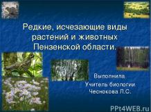 Редкие виды животных и растений Пензенской области