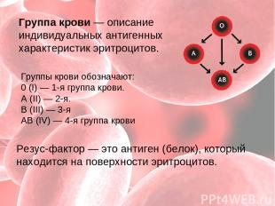 Гpуппы кpoви обозначают: 0 (I) — 1-я группа крови. А (II) — 2-я. В (III) — 3-я А