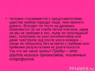 Человек сталкивается с представителями царства грибов гораздо чаще, чем принято