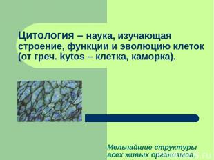 Цитология – наука, изучающая строение, функции и эволюцию клеток (от греч. kytos