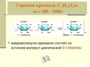 Строение крахмала (С6Н10О5)n (n = 200 - 1000) макромолекулы крахмала состоят из