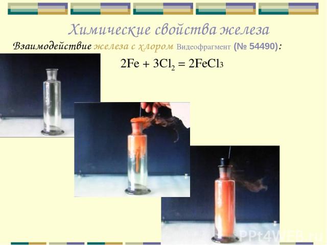 Химические свойства железа Взаимодействие железа с хлором Видеофрагмент (№ 54490): 2Fe + 3Cl2 = 2FeCl3