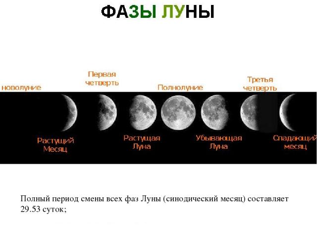 Полный период смены всех фаз Луны (синодический месяц) составляет 29.53 суток;
