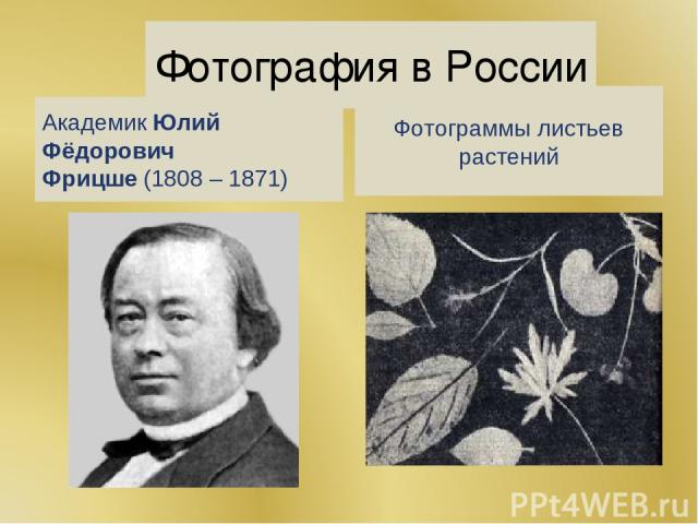 Фотография в России Академик Юлий Фёдорович Фрицше (1808 – 1871) Фотограммы листьев растений