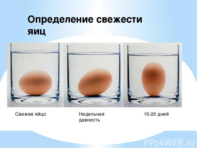 Свежее яйцо Недельная давность 15-20 дней Определение свежести яиц