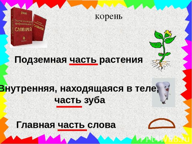 корень Подземная часть растения Внутренняя, находящаяся в теле, часть зуба Главная часть слова