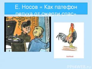 Е. Носов « Как патефон петуха от смерти спас»