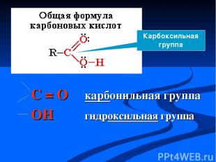 C = O карбонильная группа OH гидроксильная группа Карбоксильная группа