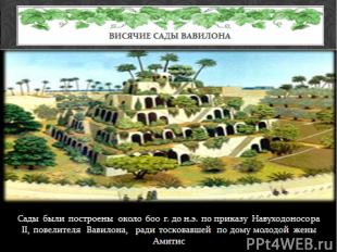 Сады были построены около 600 г. до н.э. по приказу Навуходоносора II, повелител