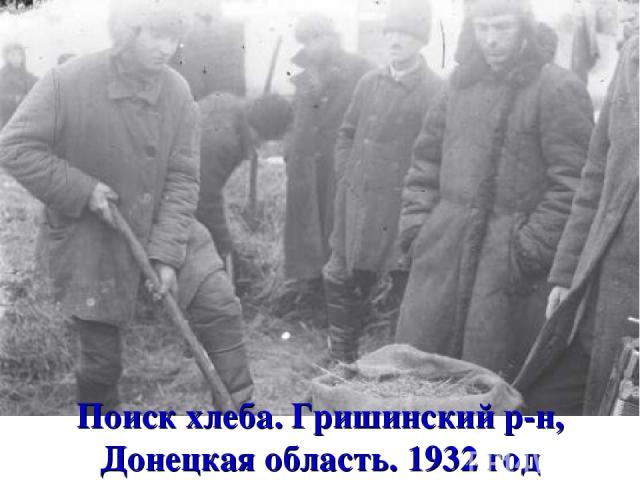 Поиск хлеба. Гришинский р-н, Донецкая область. 1932 год