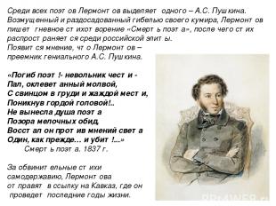 Среди всех поэтов Лермонтов выделяет одного – А.С. Пушкина. Возмущенный и раздос