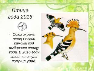 Птица года 2016 Союз охраны птиц России каждый год выбирает птицу года. В 2016 г