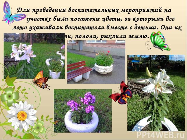Для проведения воспитательных мероприятий на участке были посажены цветы, за которыми все лето ухаживали воспитатели вместе с детьми. Они их поливали, пололи, рыхлили землю.