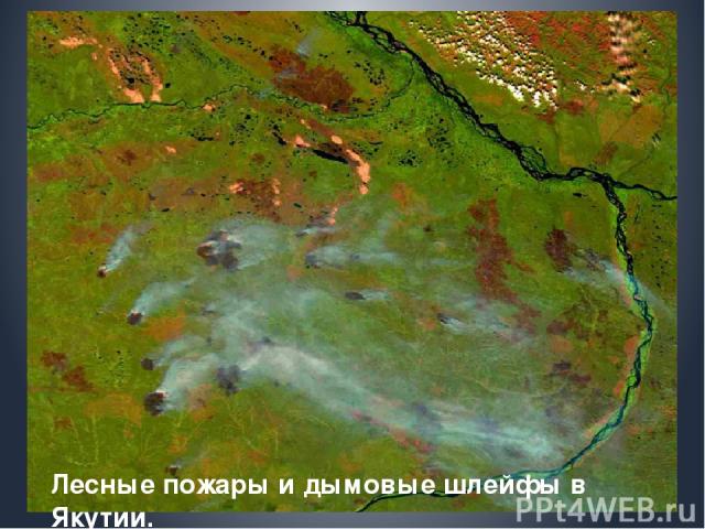 Лесные пожары и дымовые шлейфы в Якутии.