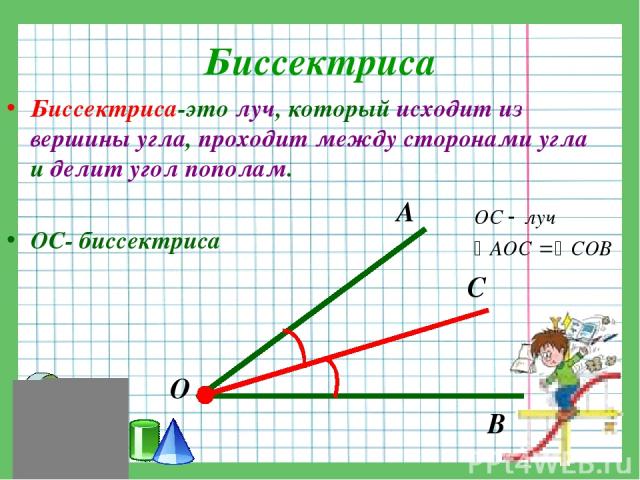 Биссектриса Биссектриса-это луч, который исходит из вершины угла, проходит между сторонами угла и делит угол пополам. ОС- биссектриса А О В С