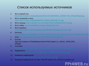 Список используемых источников Фото зимний лес: http://www.kokoko.ru/uploads/pos