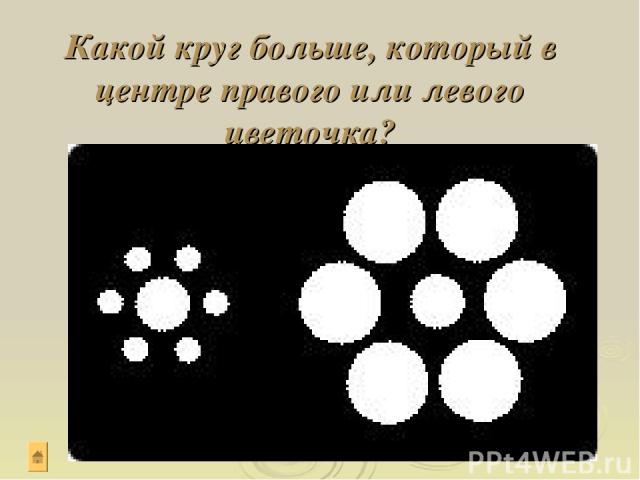 Какой круг больше, который в центре правого или левого цветочка?
