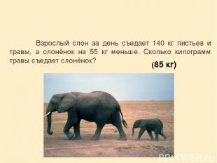 Взрослый слон за день съедает 140 кг листьев и травы, а слонёнок на 55 кг меньше
