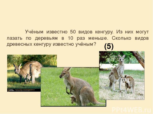 Учёным известно 50 видов кенгуру. Из них могут лазать по деревьям в 10 раз меньше. Сколько видов древесных кенгуру известно учёным? (5)