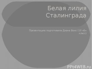 Белая лилия Сталинграда Презентацию подготовила Диана Вонс (10 «Б» класс)