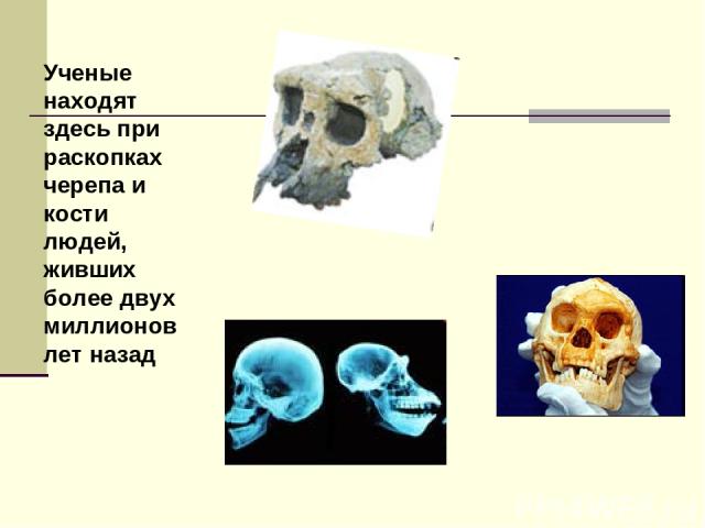 Ученые находят здесь при раскопках черепа и кости людей, живших более двух миллионов лет назад
