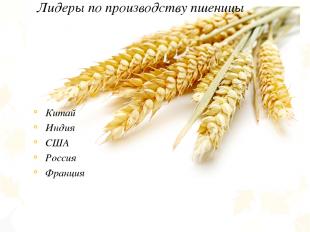 Лидеры по производству пшеницы Китай Индия США Россия Франция