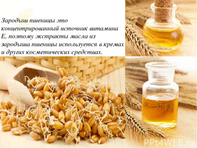 Зародыш пшеницы это концентрированный источник витамина Е, поэтому экстракты масла из зародыша пшеницы используется в кремах и других косметических средствах.