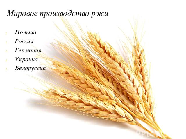 Мировое производство ржи Польша Россия Германия Украина Белоруссия