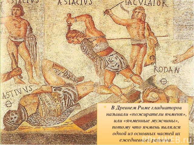 В Древнем Риме гладиаторов называли «пожиратели ячменя», или «ячменные мужчины», потому что ячмень являлся одной из основных частей их ежедневного рациона.