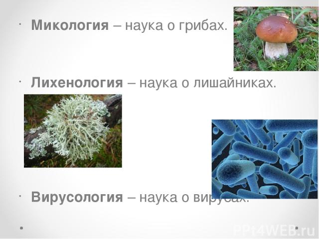 Микология – наука о грибах. Лихенология – наука о лишайниках. Вирусология – наука о вирусах.