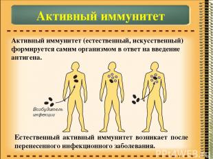 Активный иммунитет Активный иммунитет (естественный, искусственный) формируется