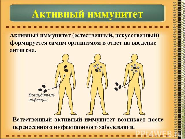 Активный иммунитет Активный иммунитет (естественный, искусственный) формируется самим организмом в ответ на введение антигена. Естественный активный иммунитет возникает после перенесенного инфекционного заболевания.