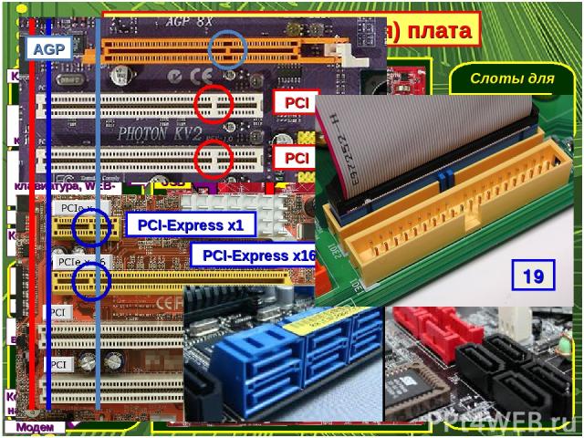 Системная (материнская) плата Разъём для установки процессора Слоты для установки оперативной памяти Слоты для установки контроллеров внешних устройств Слот для установки видеокарты «Северный мост» – контроллер оперативной памяти и видеопамяти «Южны…