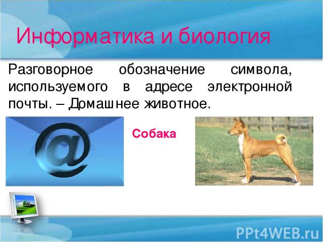Информатика и биология Разговорное обозначение символа, используемого в адресе электронной почты. – Домашнее животное. Собака