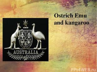 Ostrich Emu and kangaroo