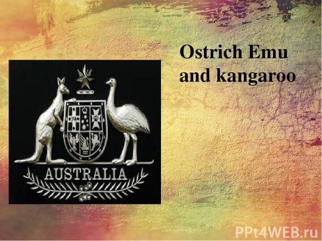 Ostrich Emu and kangaroo