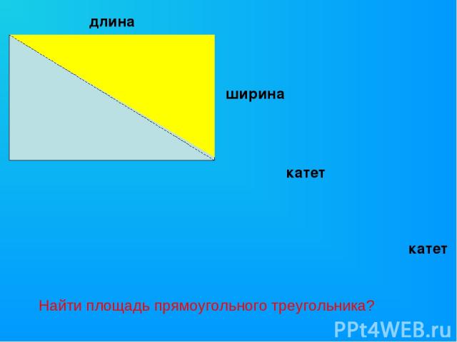 длина ширина катет катет Найти площадь прямоугольного треугольника?