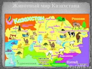 Животный мир Казахстана