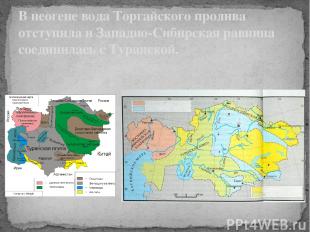 В неогене вода Торгайского пролива отступила и Западно-Сибирская равнина соедини